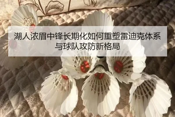 湖人浓眉中锋长期化如何重塑雷迪克体系与球队攻防新格局